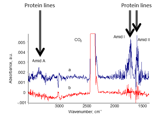 FTIR ATR spectra of sub-monolayer (<5 nm) of protein molecule adsorbed on PDMS medical device.